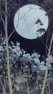 full moon forest night