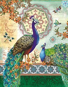 Royal peacocks feather peacock fantasy bird coupl