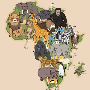 africa safari wilderness elephant