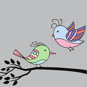 birds flying branch encounter