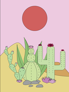 cactus succulent desert sahara
