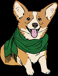 corgi dog pet animal