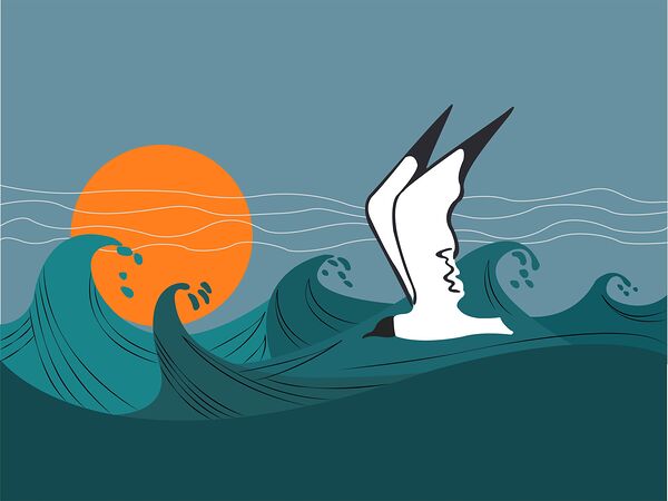 seagull sea storm waves Print