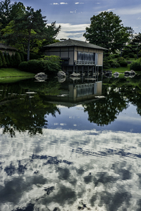 Reflections