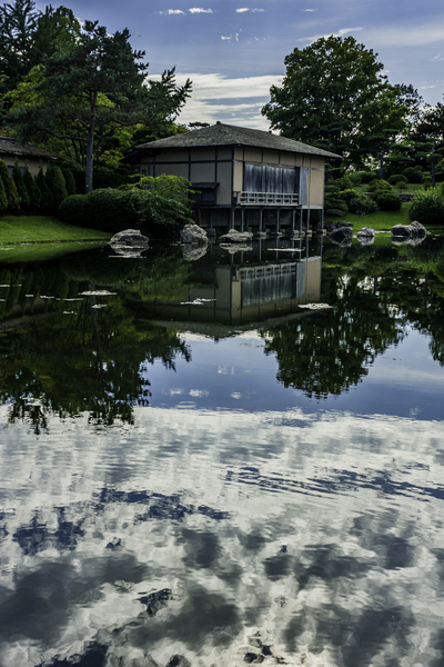 Reflections Print