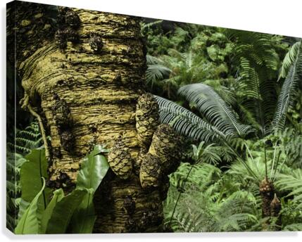 Trees Textures Canvas Print