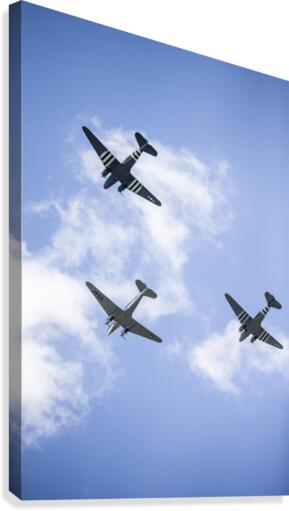 Fly By Canvas Print