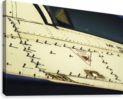 Danger Hatch Canvas Print