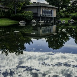 Reflections