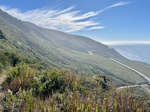 Big Sur • Hwy 1 • CA