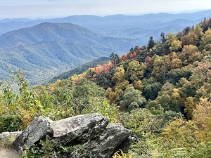North Carolina Autumn