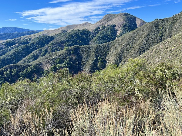 Carmel Valley Print