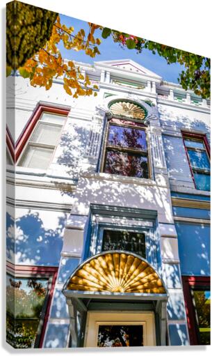 Looking Up Canvas Print