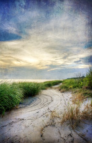Beach Path Print
