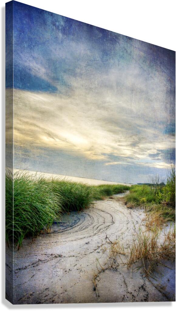 Beach Path Canvas Print