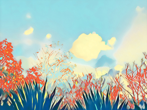 Agava Sky