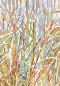 Wild Grasses