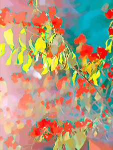 BOUGAINVILLIERS LIGHTS