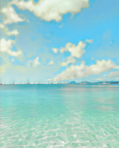DIVE INTO TROPICAL SEA DREAM