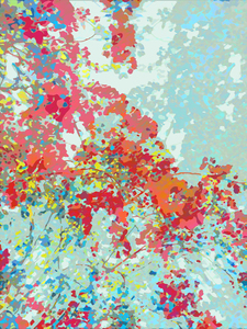 Flower and Sky Pop