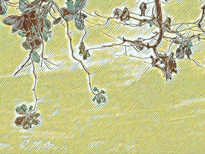 Japanese almond tree