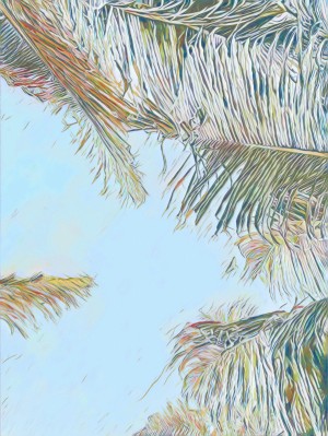 coconut tree