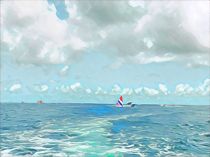 Sailing Sunfish