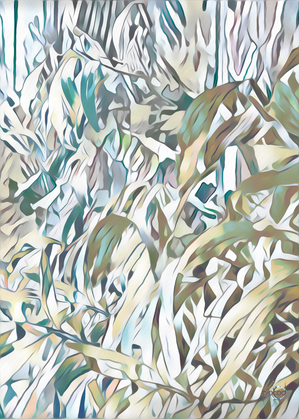 Jungle