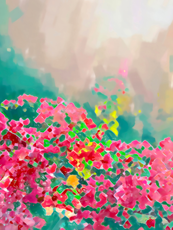 Backlight Bouganvilleas  Print