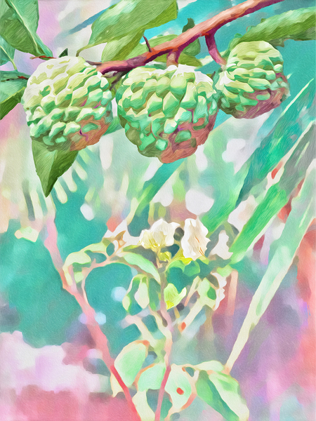Pomme Cannelle Print