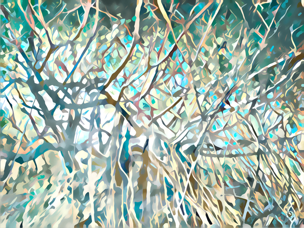 FICUS TREE by Sibcod
