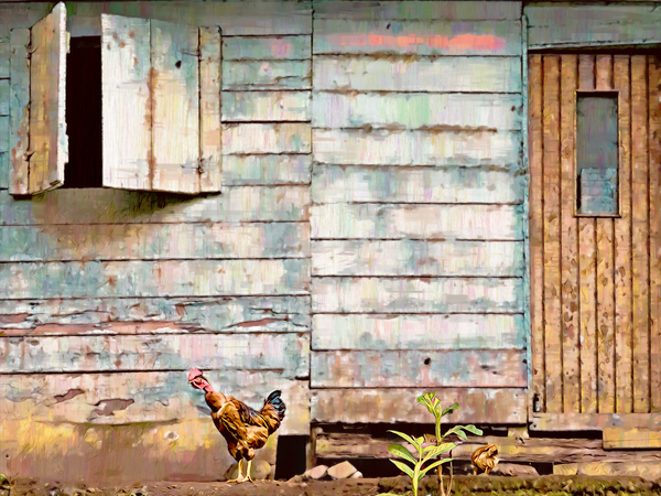 Chicky Weathered  Facade Print