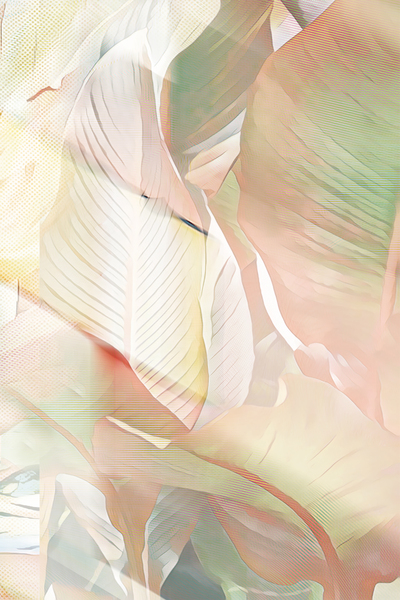 TRIPTYCH LIGHT LEAF C Print