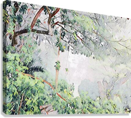 Raintree  Canvas Print