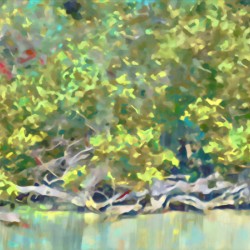Narcissus  Trees at sea