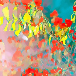 BOUGAINVILLIERS LIGHTS