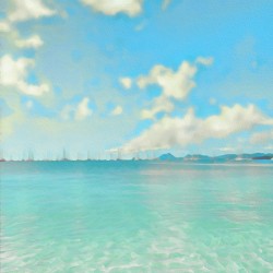 DIVE INTO TROPICAL SEA DREAM