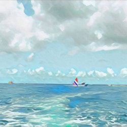 Sailing Sunfish