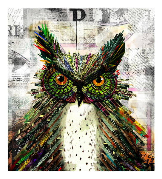 Owl 1 Print