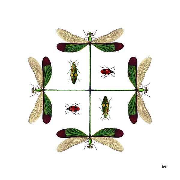 Bug Order 1 Print