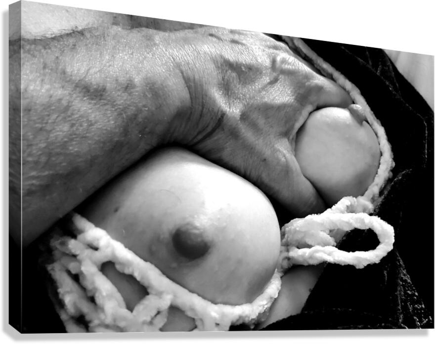 Nude Breasts - Left Hand Hold Left Breast Canvas Print