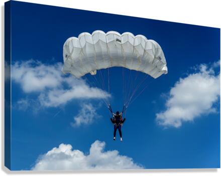 flight Canvas Print