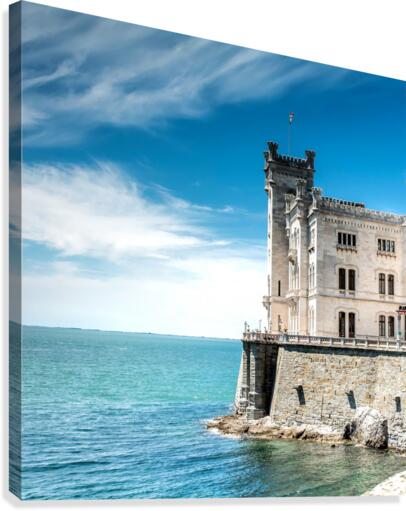 ezj  4 Canvas Print