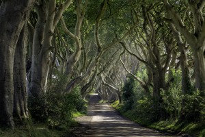 Game of Thrones