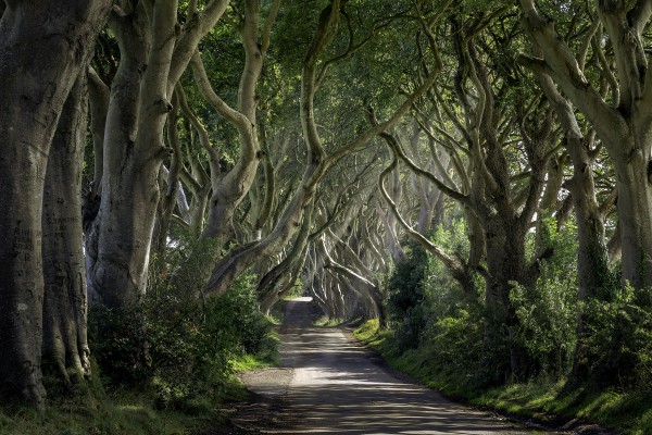 Game of Thrones by fredmeyer