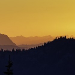 Manning Sunset