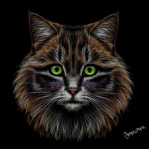 CAT Portrait