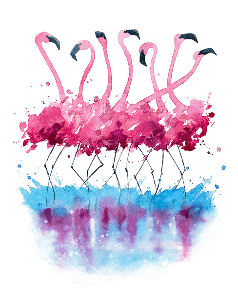 Flamingo Tango 1 by Jackie Grace