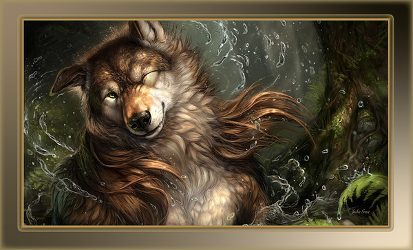 Wet Wolf  Print
