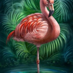 Flamingo  Queen